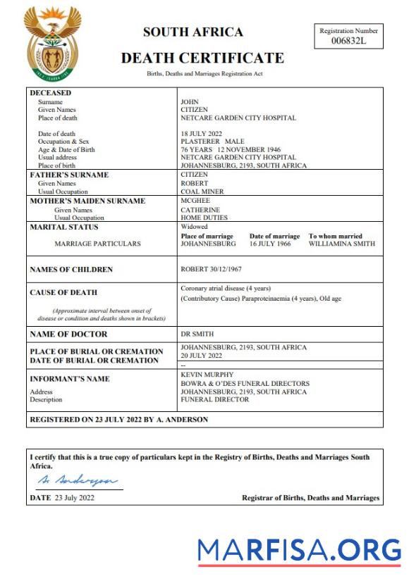 Realistic South Africa death certificate Word and PDF template